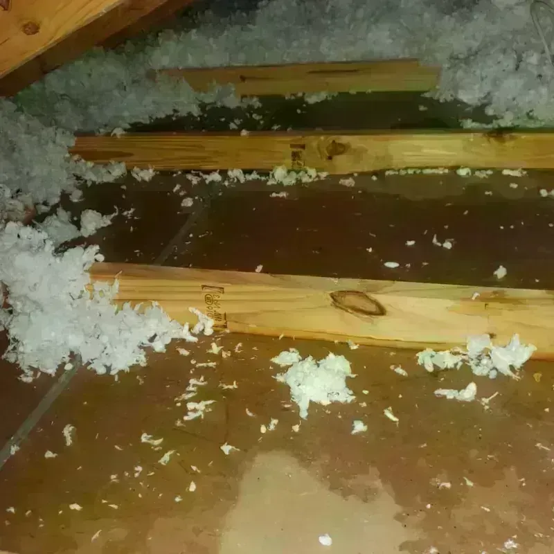 Attic Water Damage in Palm Springs, CA